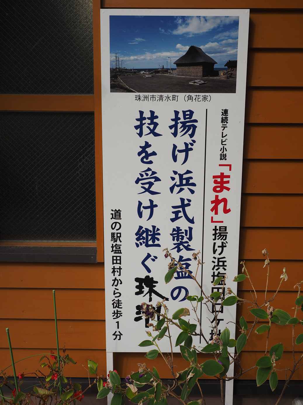 P9160732.jpg