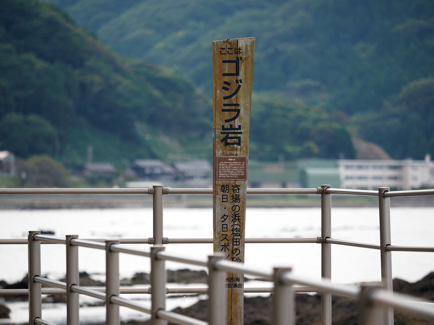 P9160756.jpg