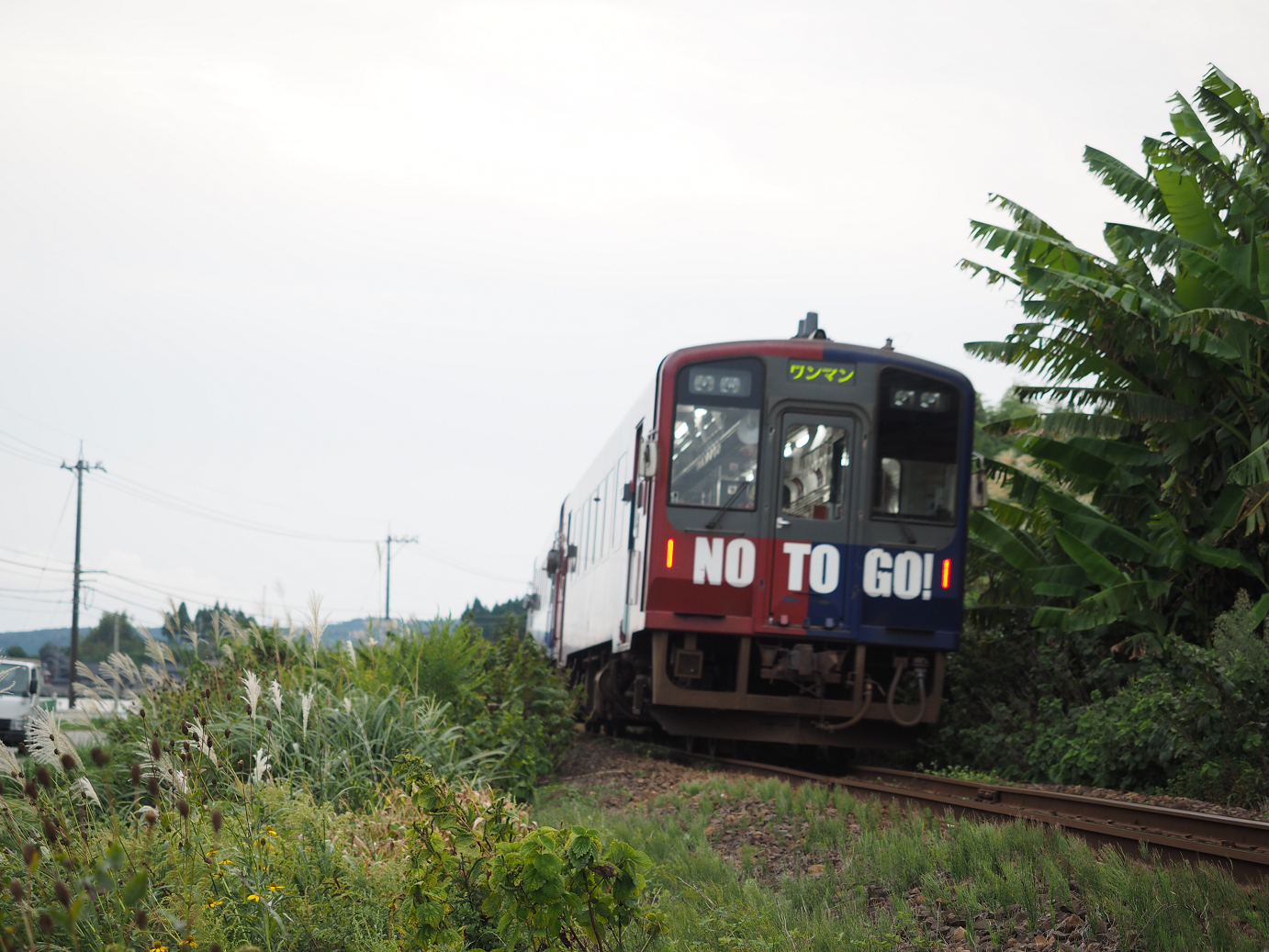 P9160894.jpg