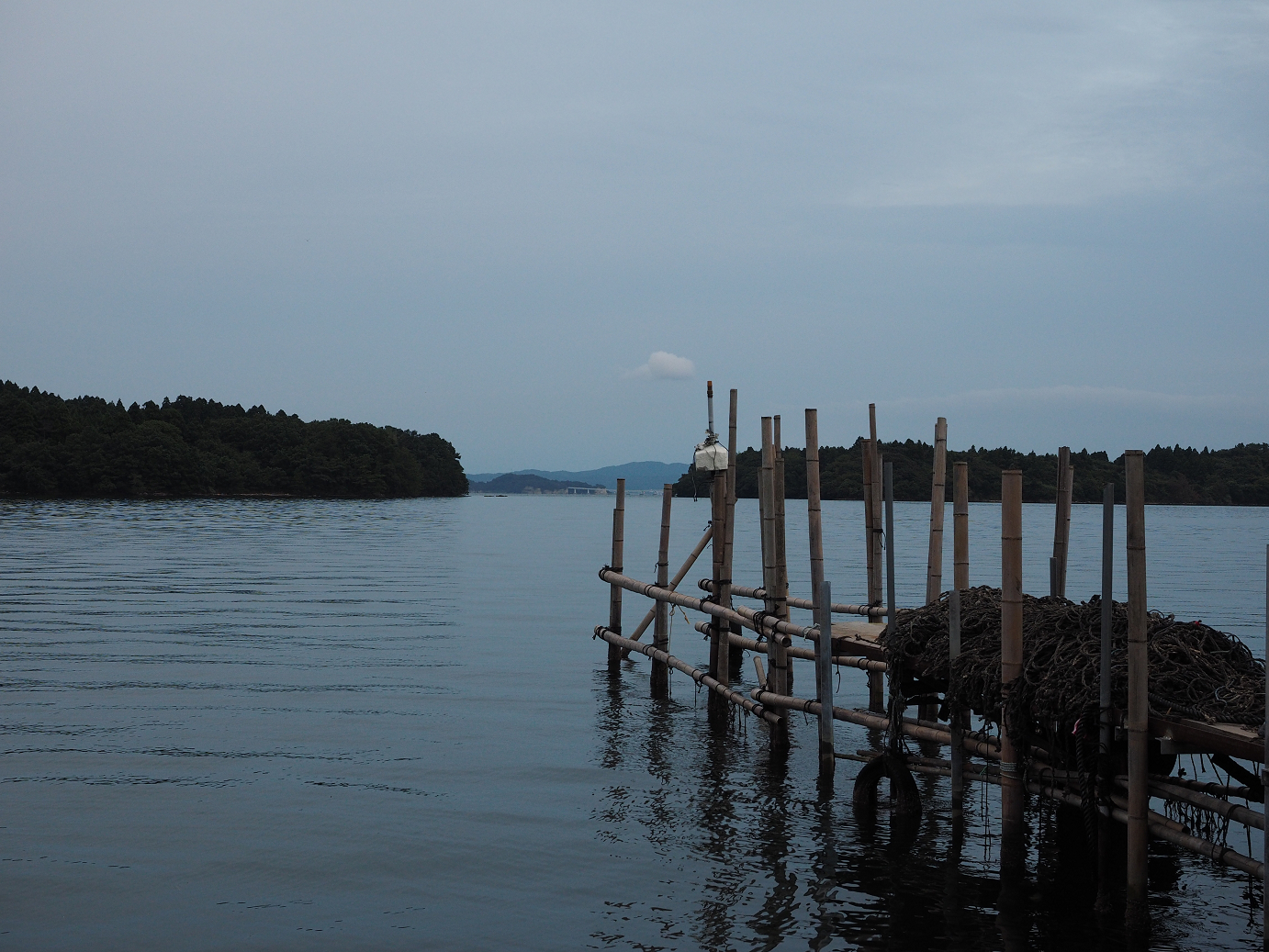 P9160924.jpg