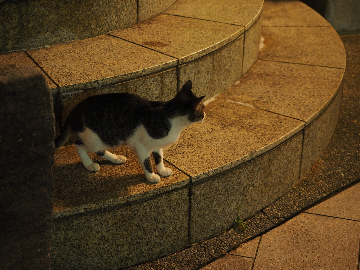 P9161013.jpg