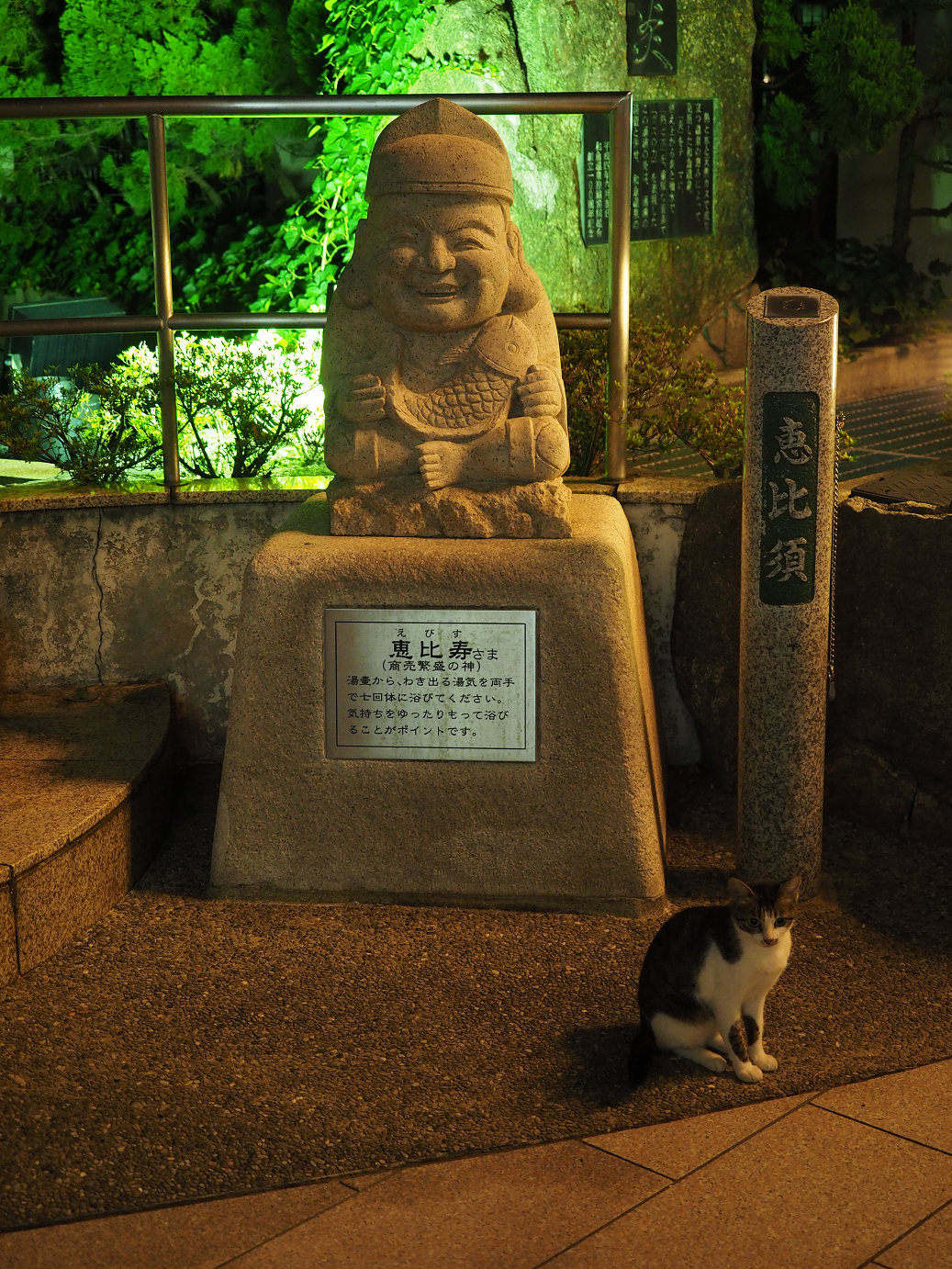 P9161015.jpg