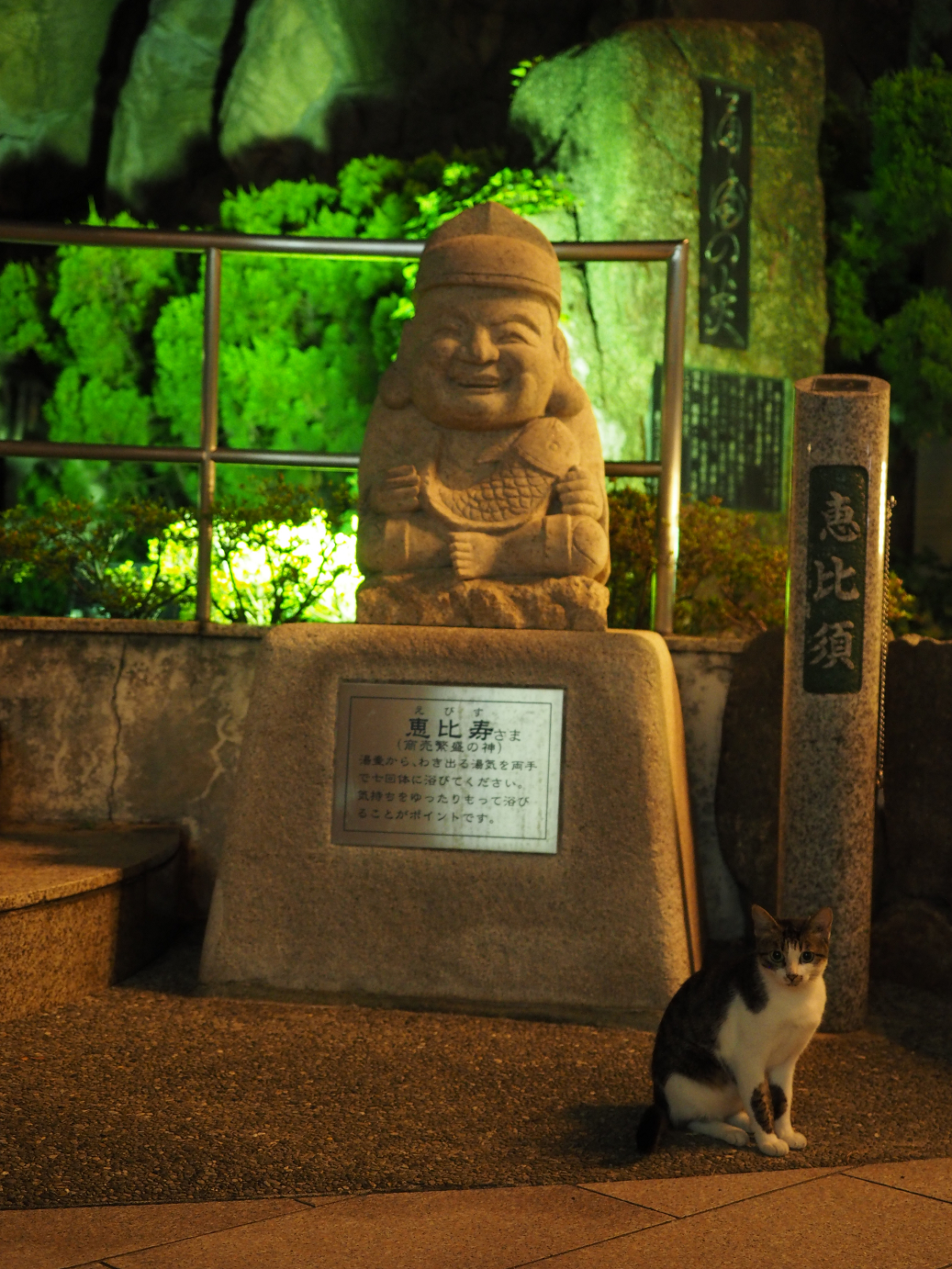 P9161016.jpg