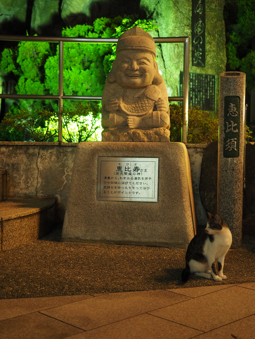 P9161017.jpg