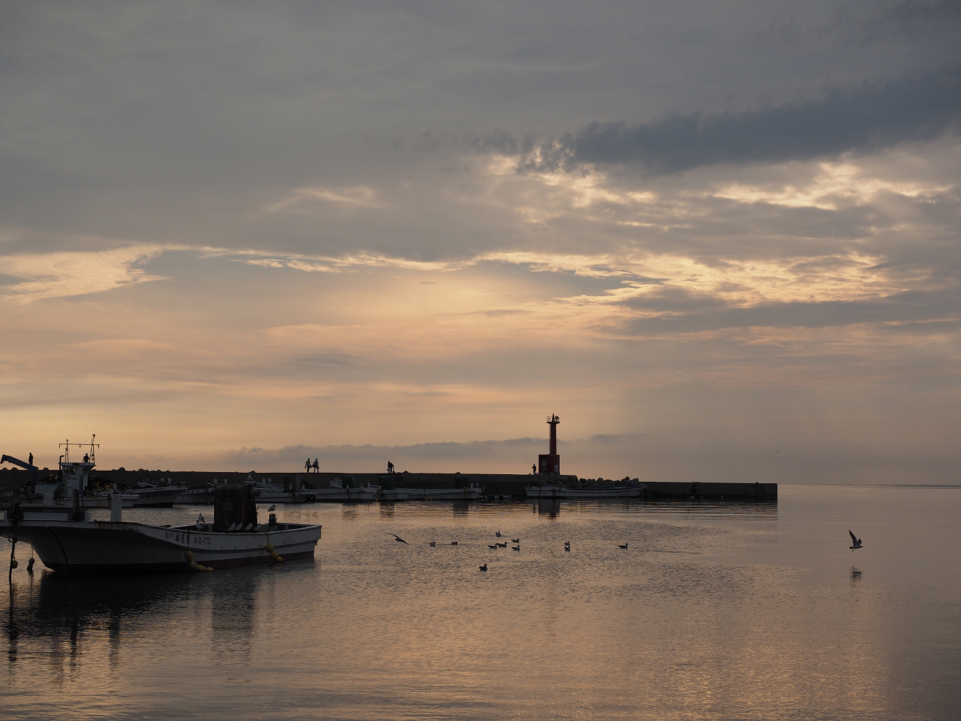 P9171100.jpg