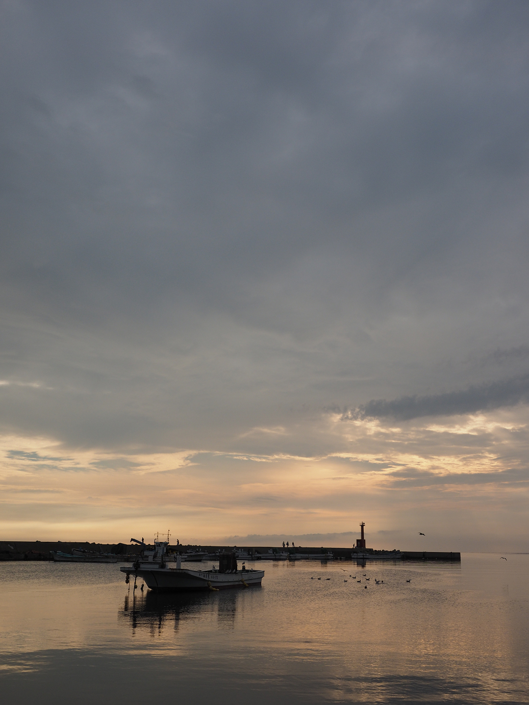 P9171103.jpg