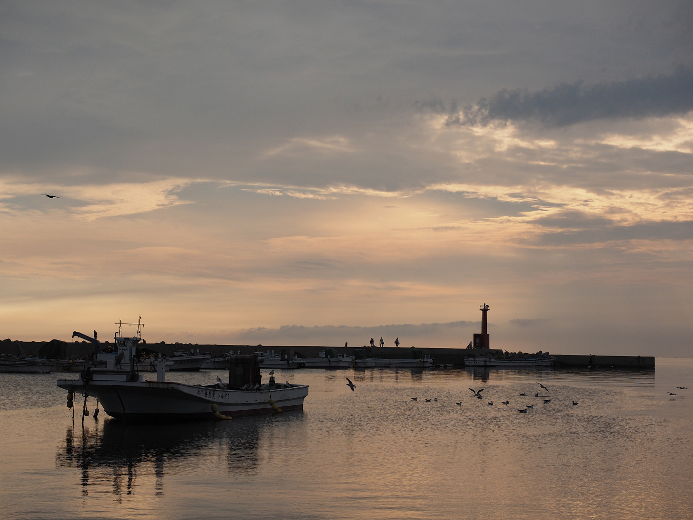P9171105.jpg