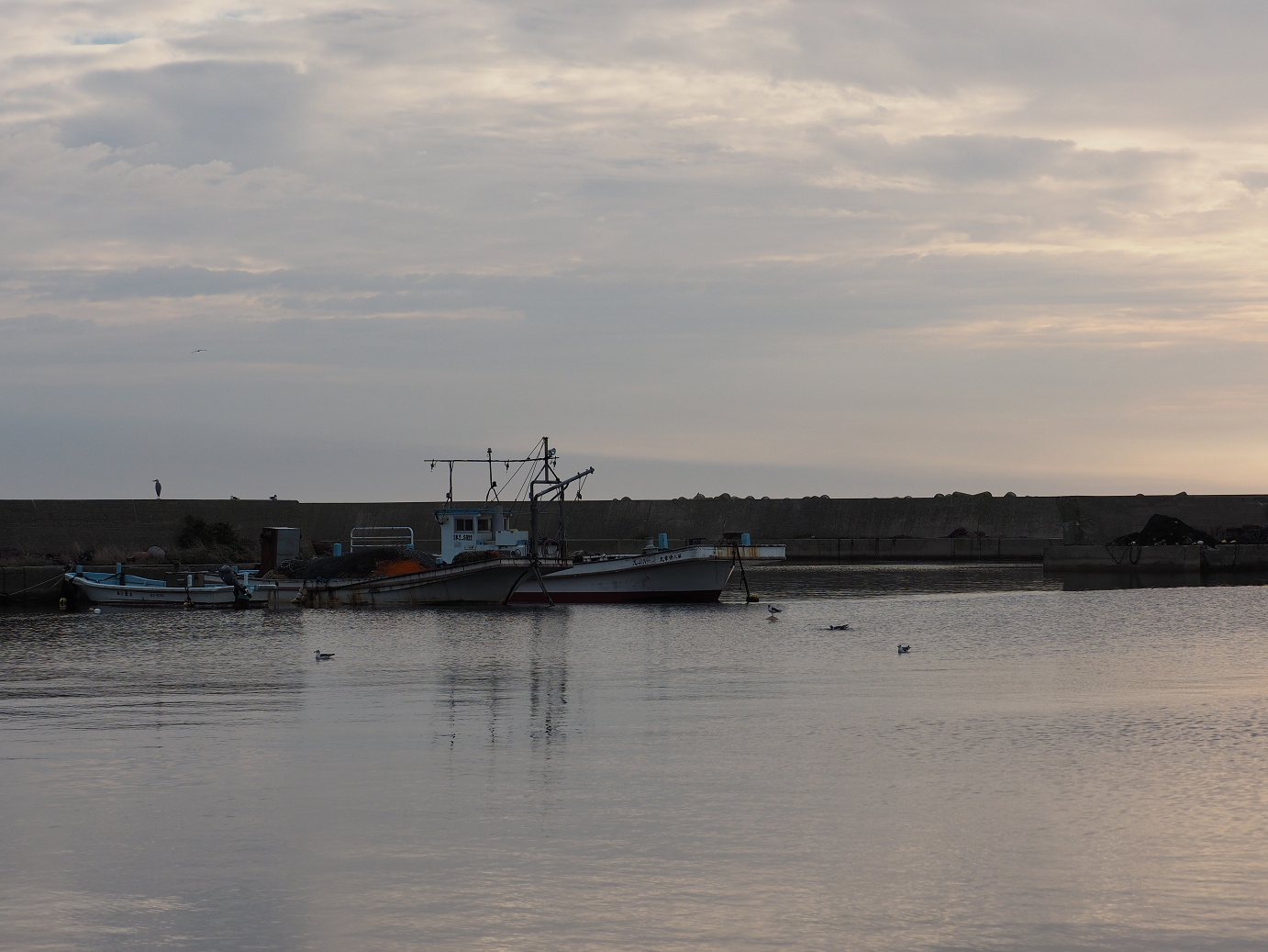 P9171117.jpg