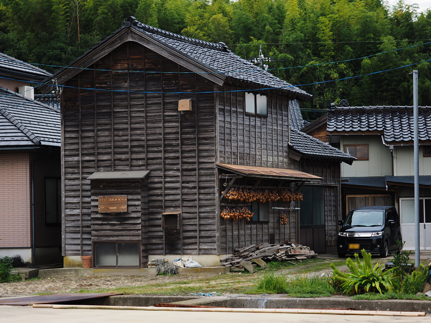 P9171160.jpg