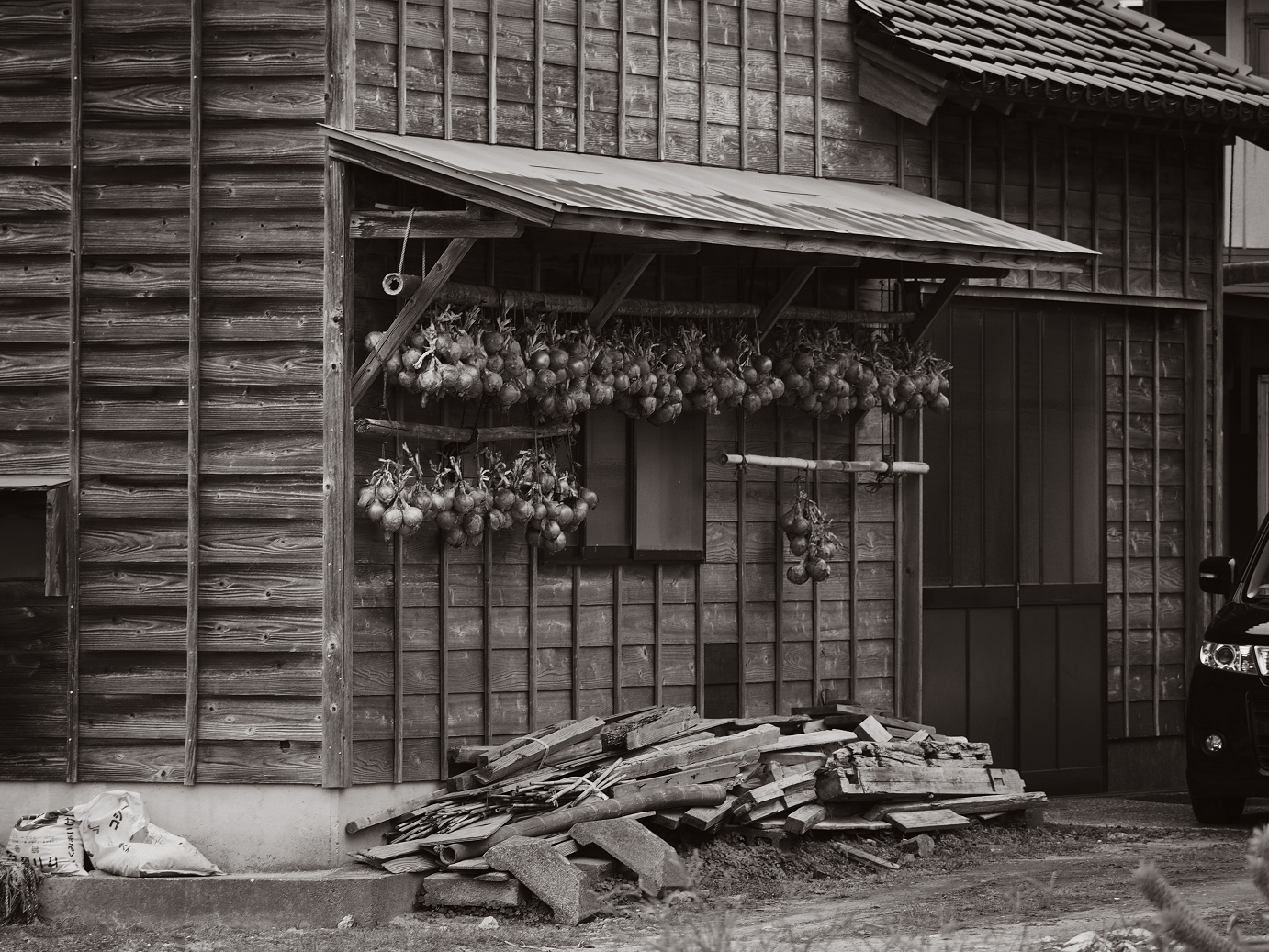 P9171161.jpg