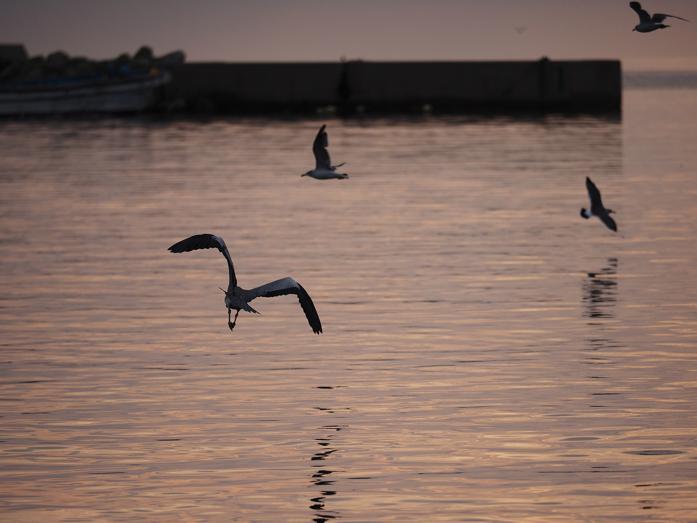 P9171163-.jpg