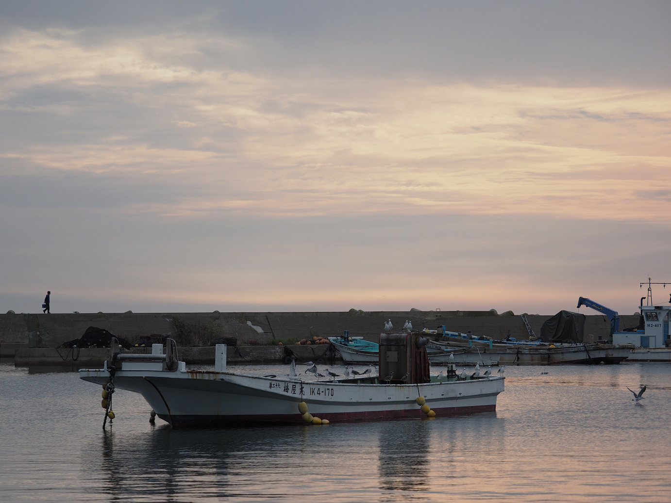 P9171171.jpg