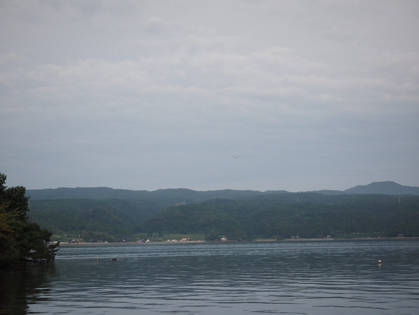 P9171178.jpg