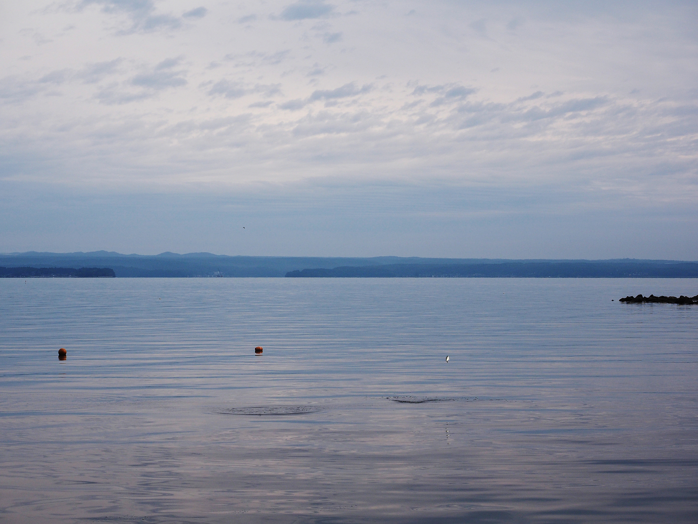 P9171180.jpg