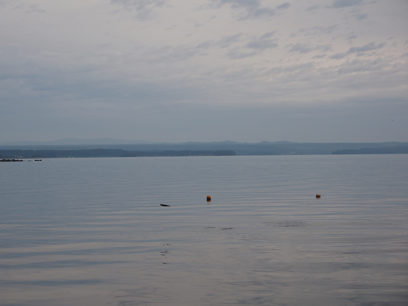 P9171181.jpg