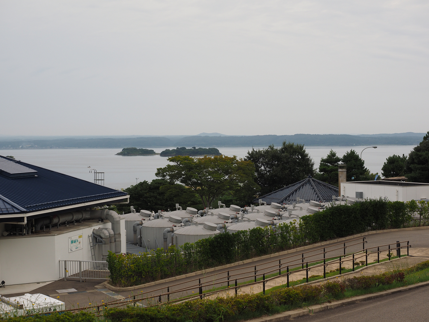 P9171184.jpg
