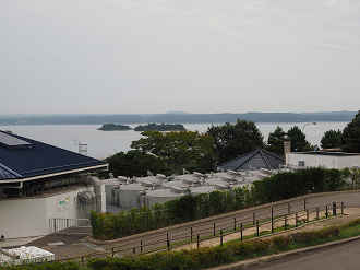 P9171184_thumb.png