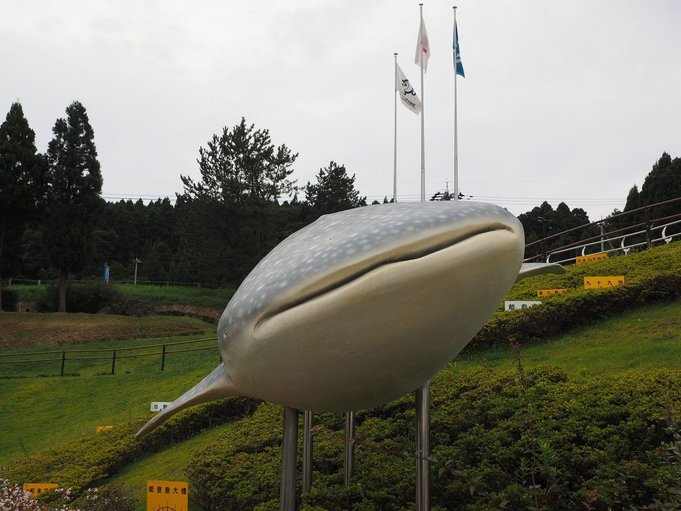 P9171186.jpg