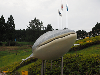 P9171186_thumb.png