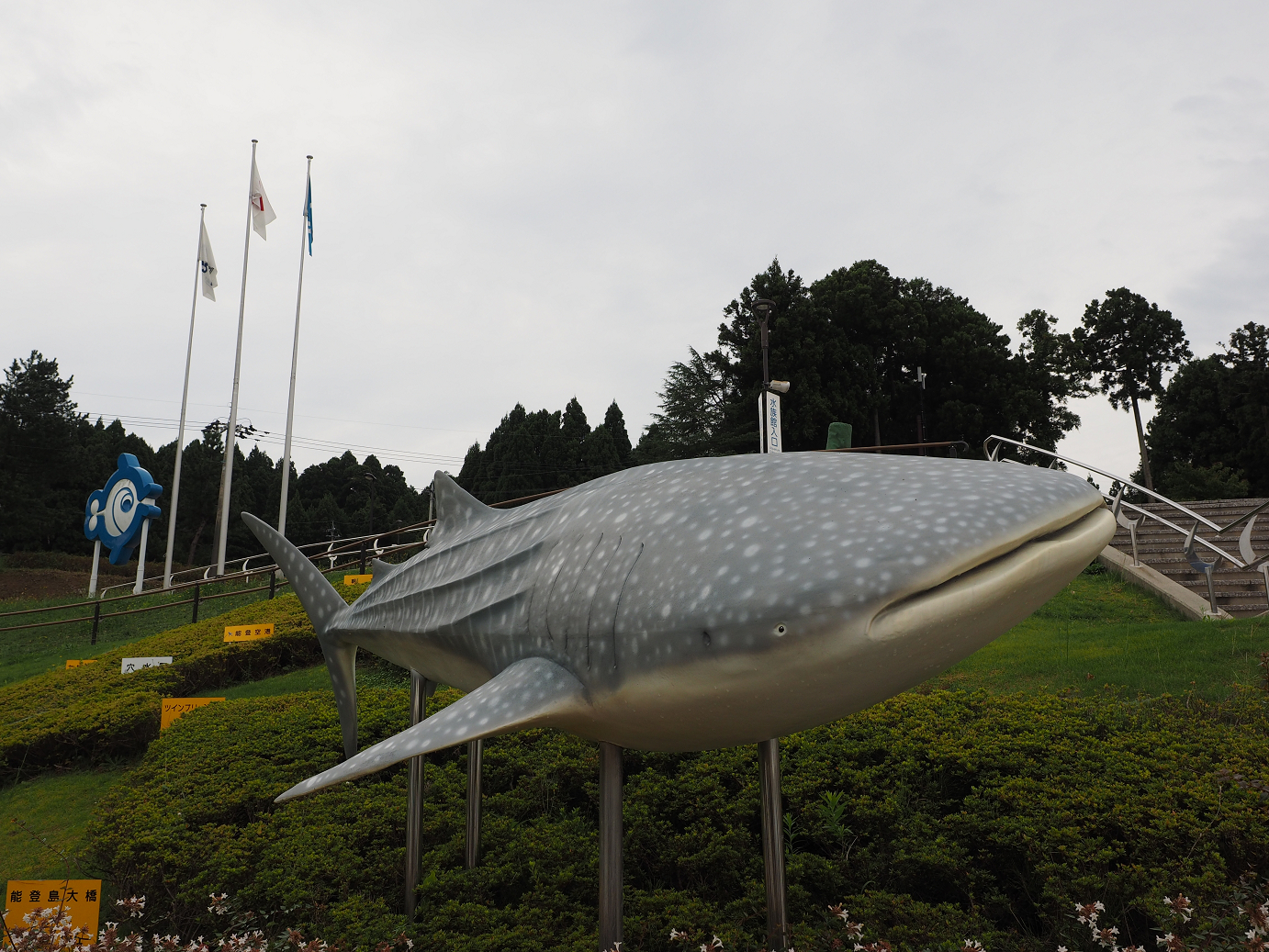 P9171187.jpg