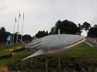 P9171187_thumb.png