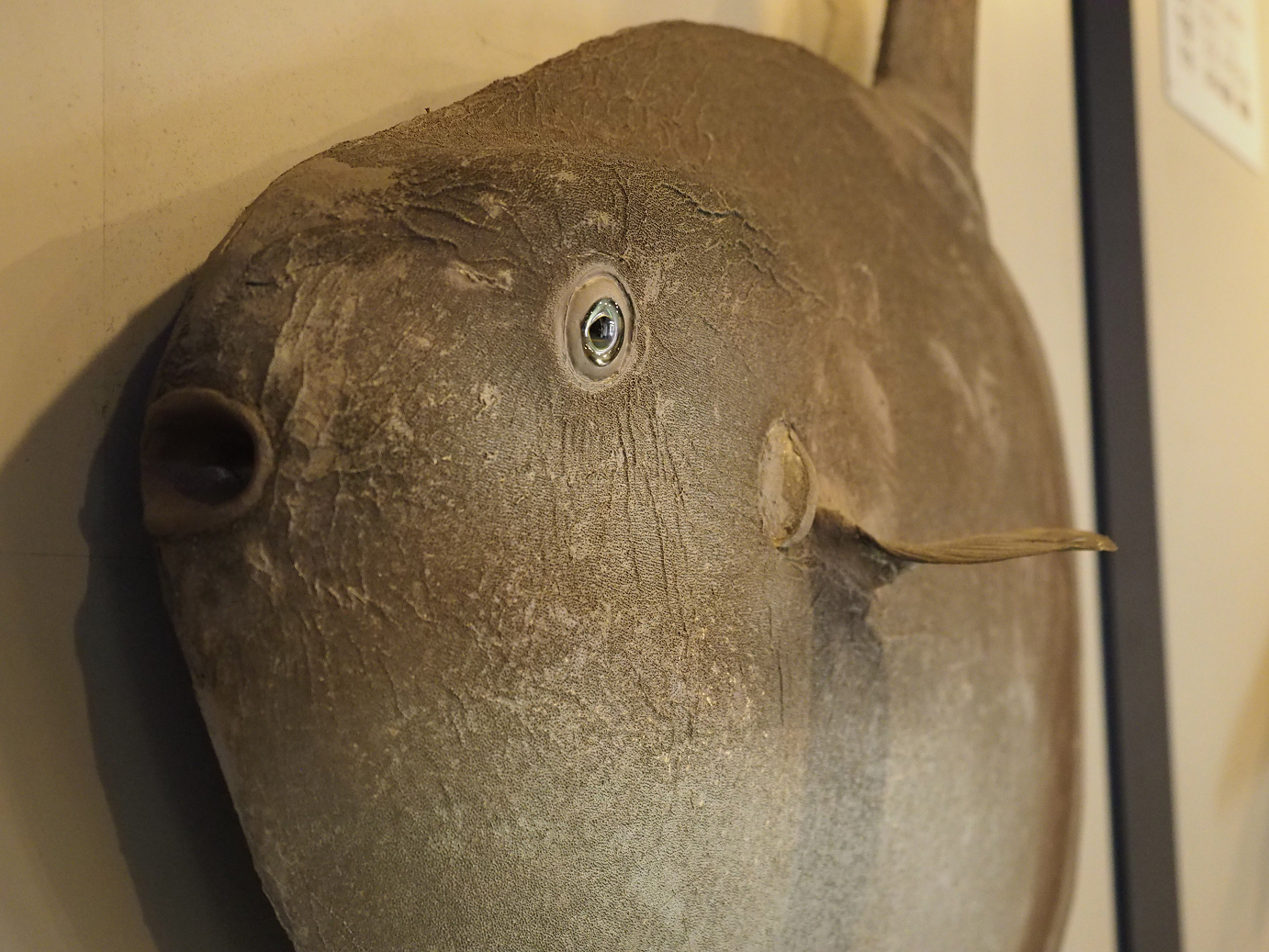 P9171293.jpg