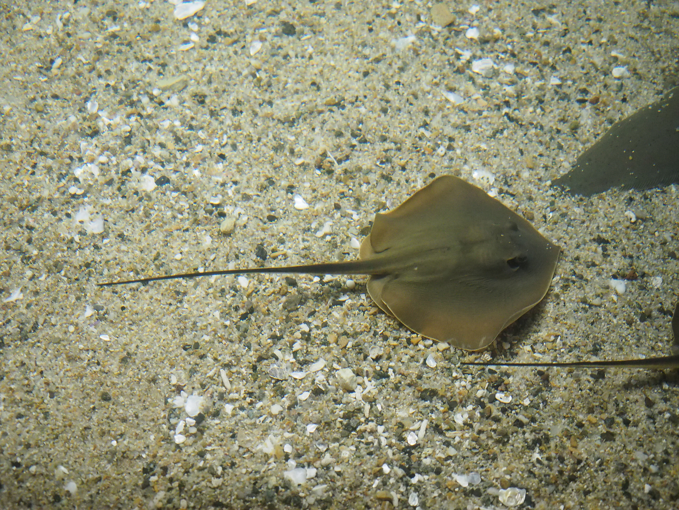 P9171376.jpg