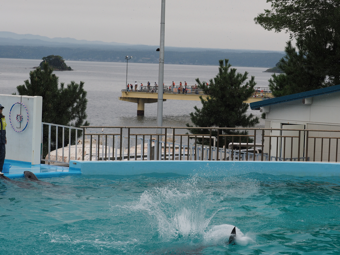 P9171525.jpg