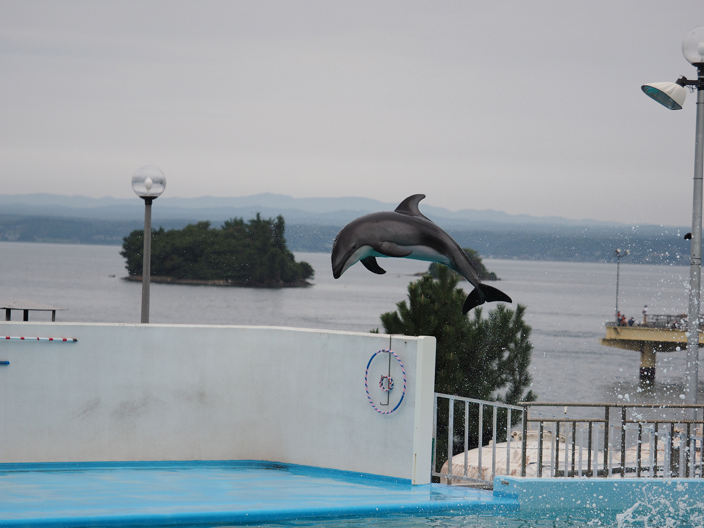 P9171591.jpg