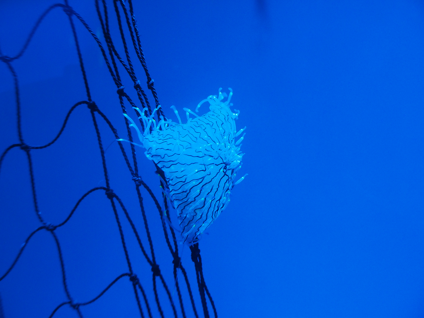 P9171857.jpg
