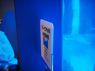 P9171878_thumb.png