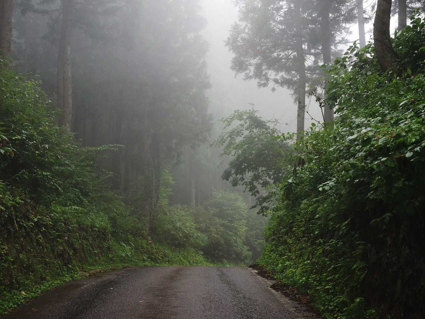 P9171934.jpg