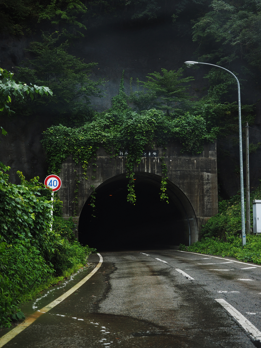 P9171951.jpg