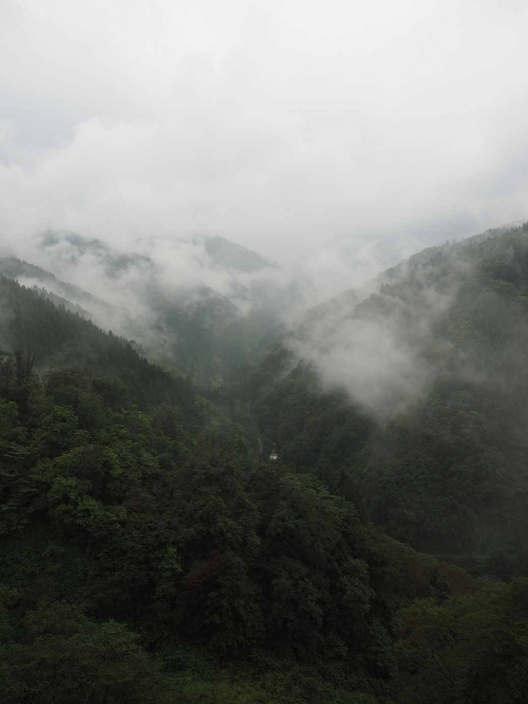 P9171956.jpg
