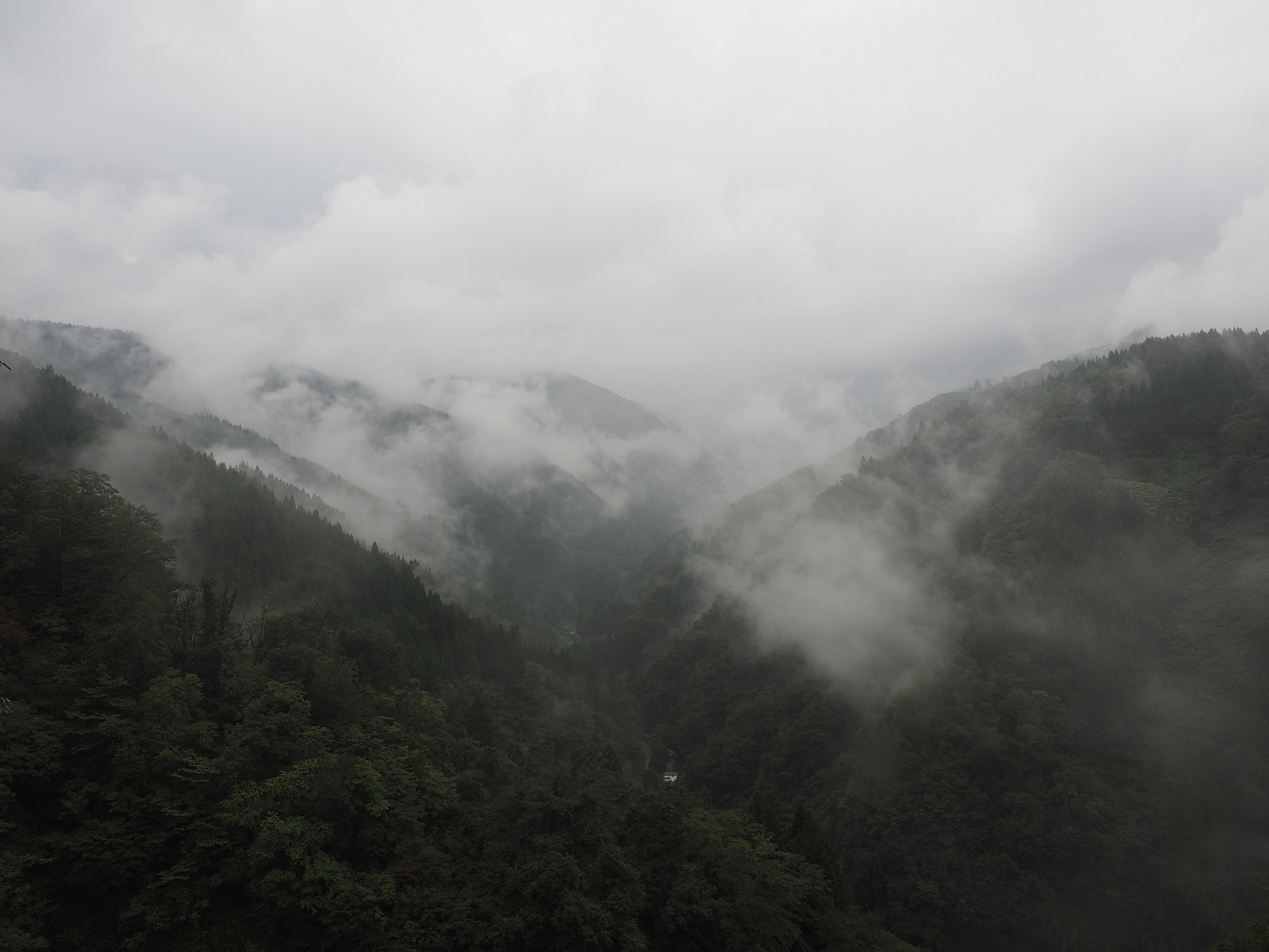 P9171957.jpg
