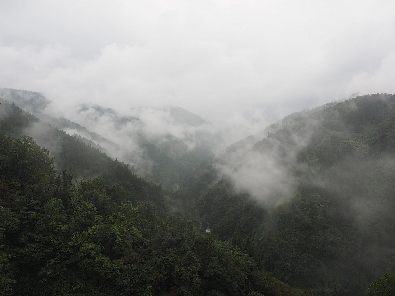 P9171958.jpg