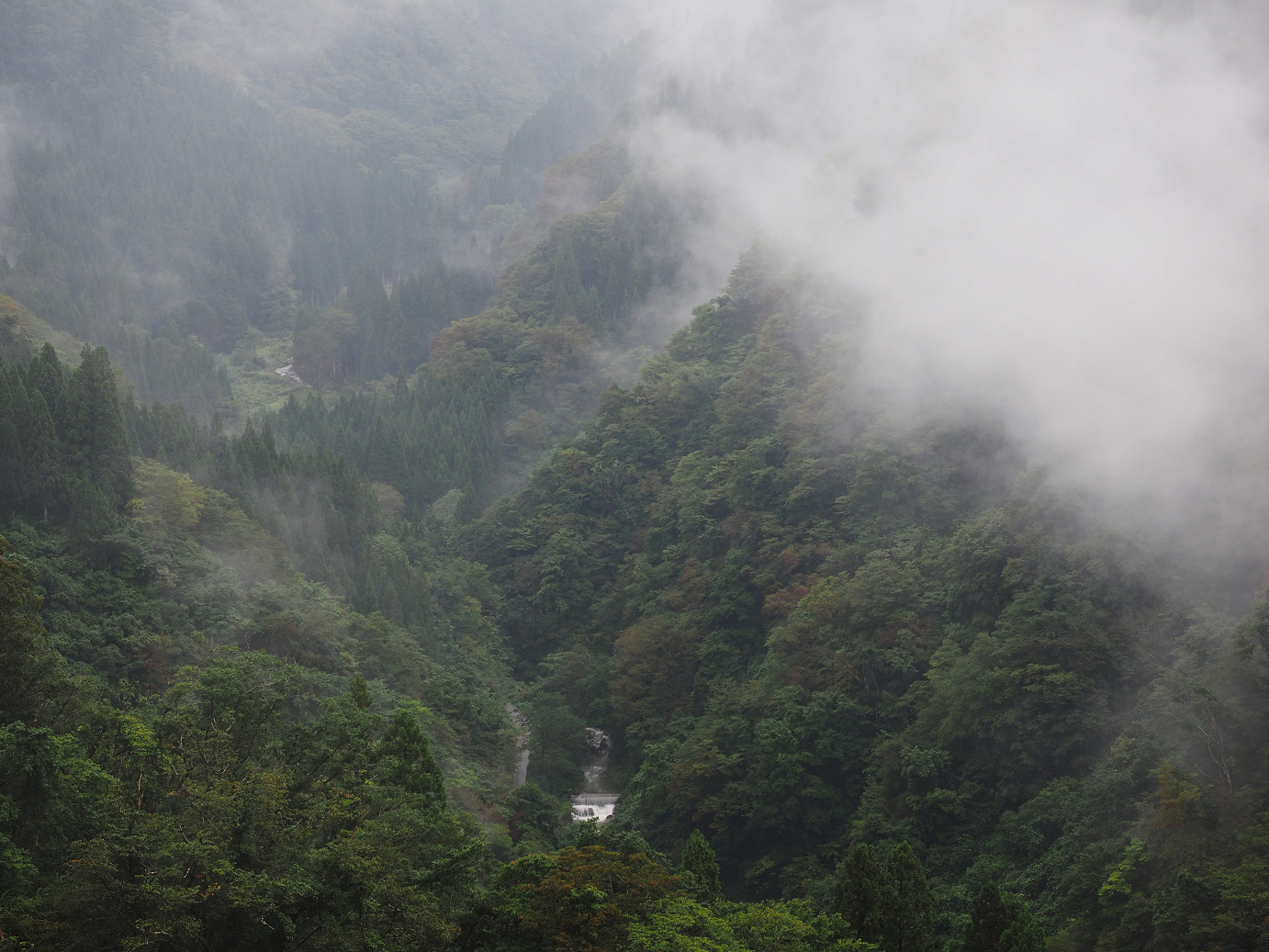 P9171959.jpg