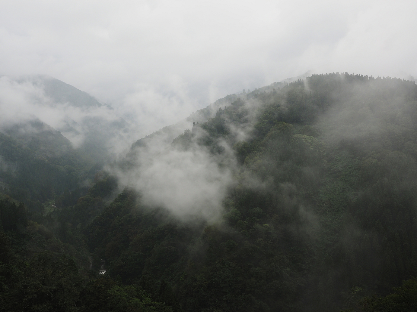 P9171961.jpg