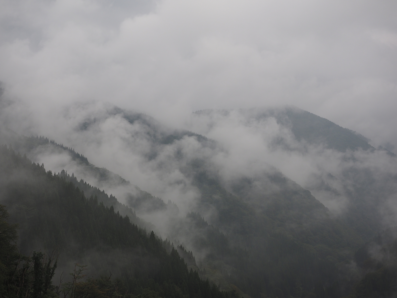 P9171963.jpg