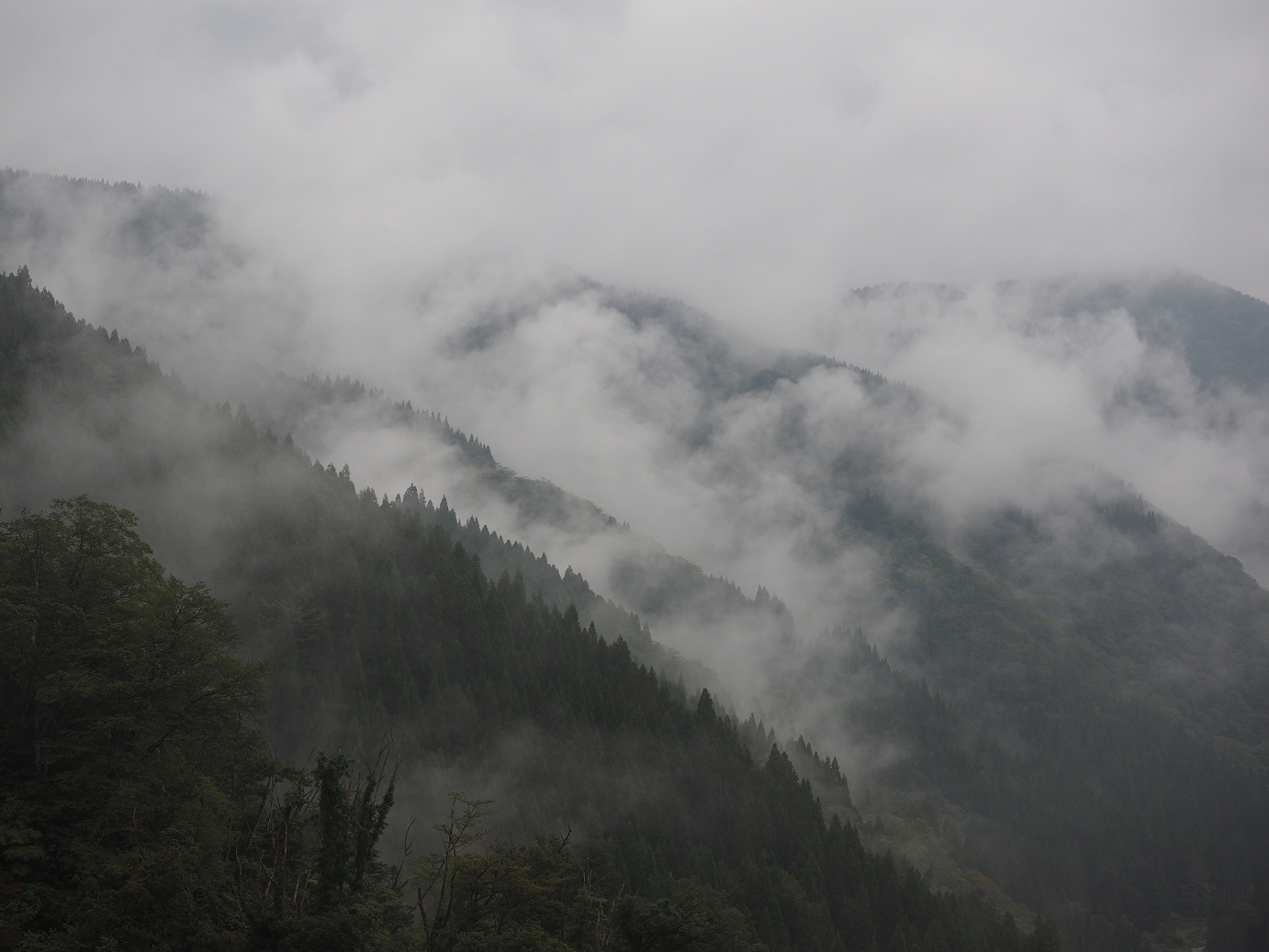P9171965.jpg