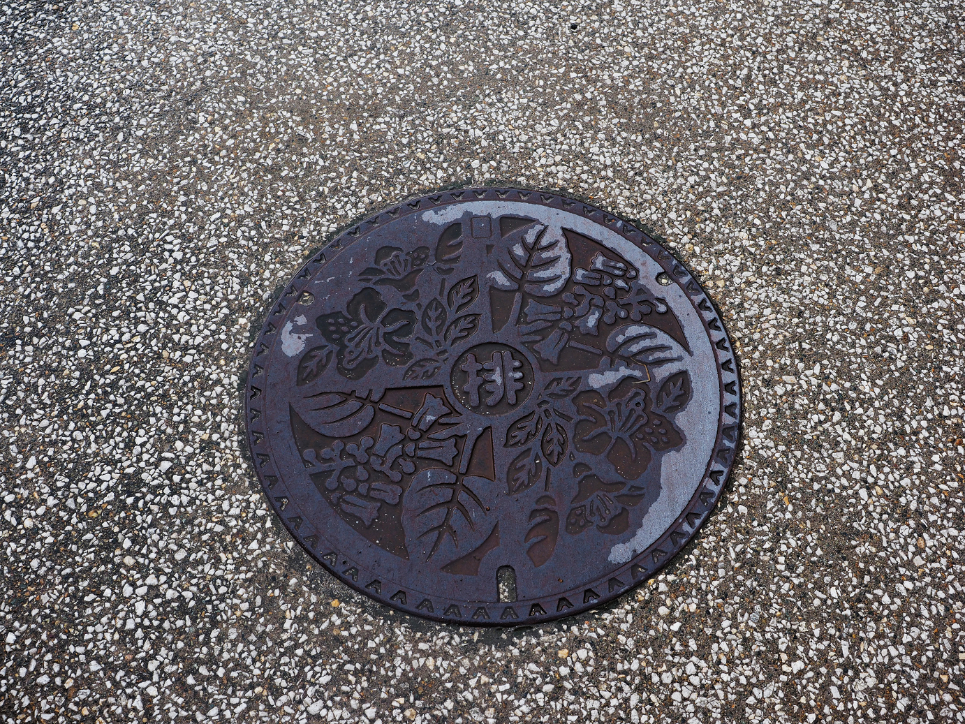 P9171969.jpg
