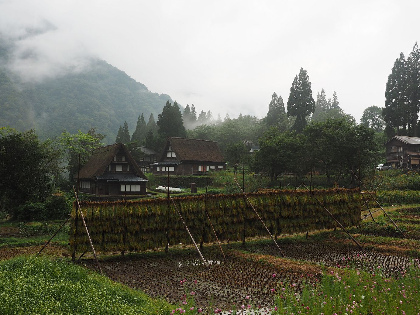 P9171970.jpg