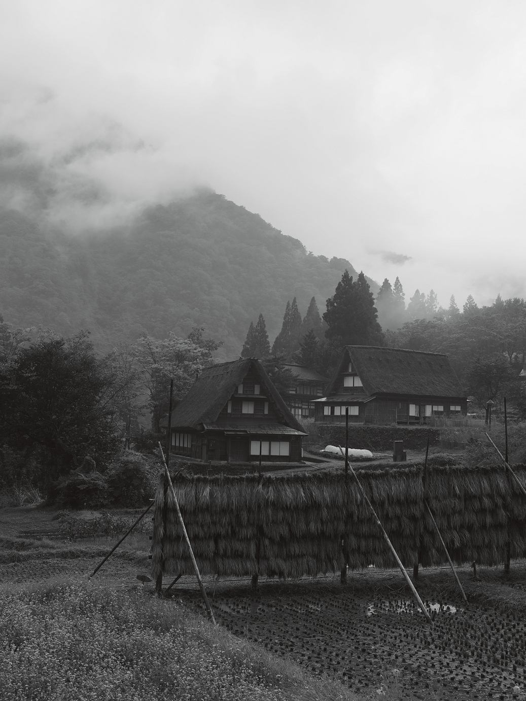 P9171975.jpg