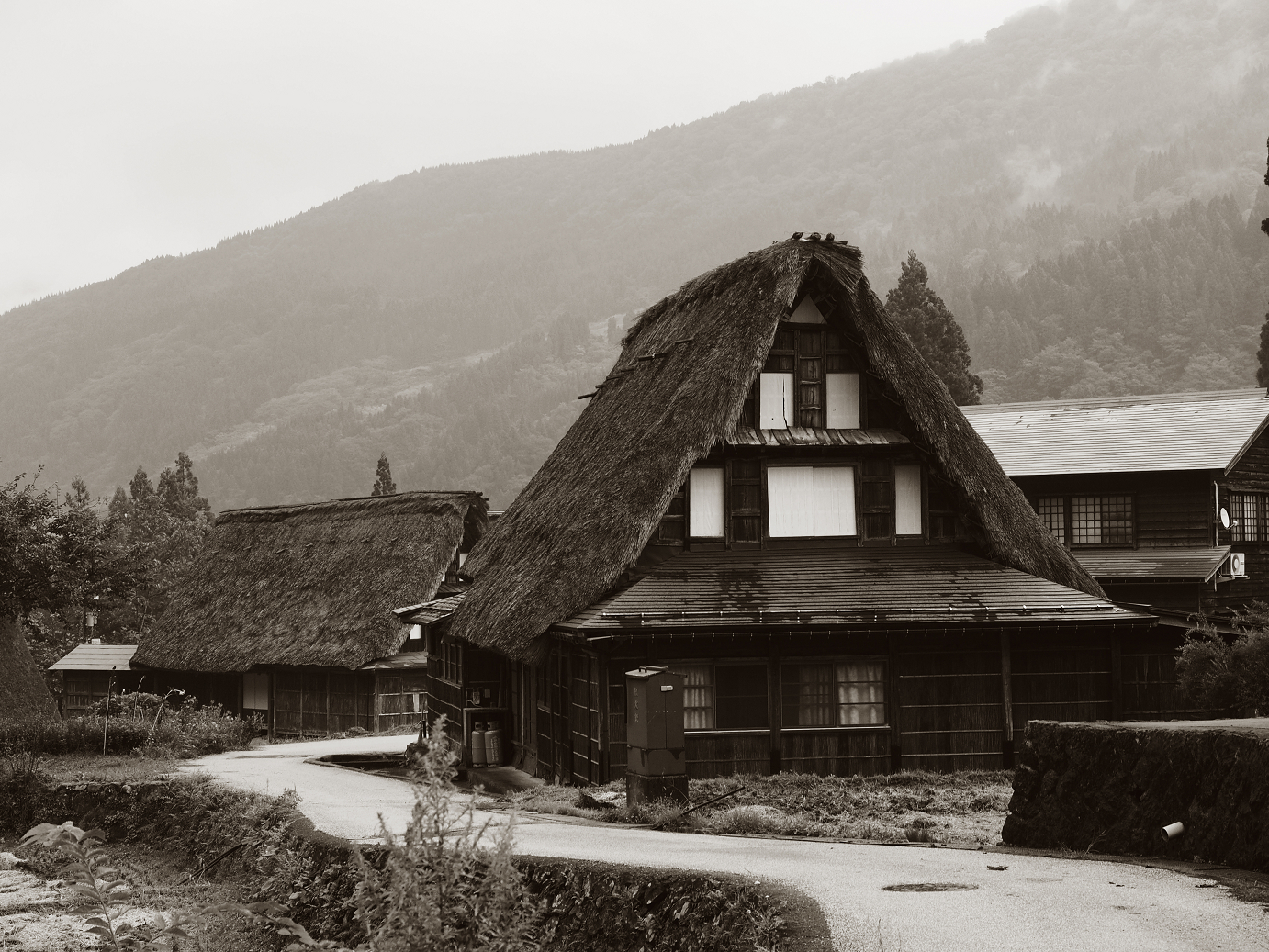 P9171981.jpg