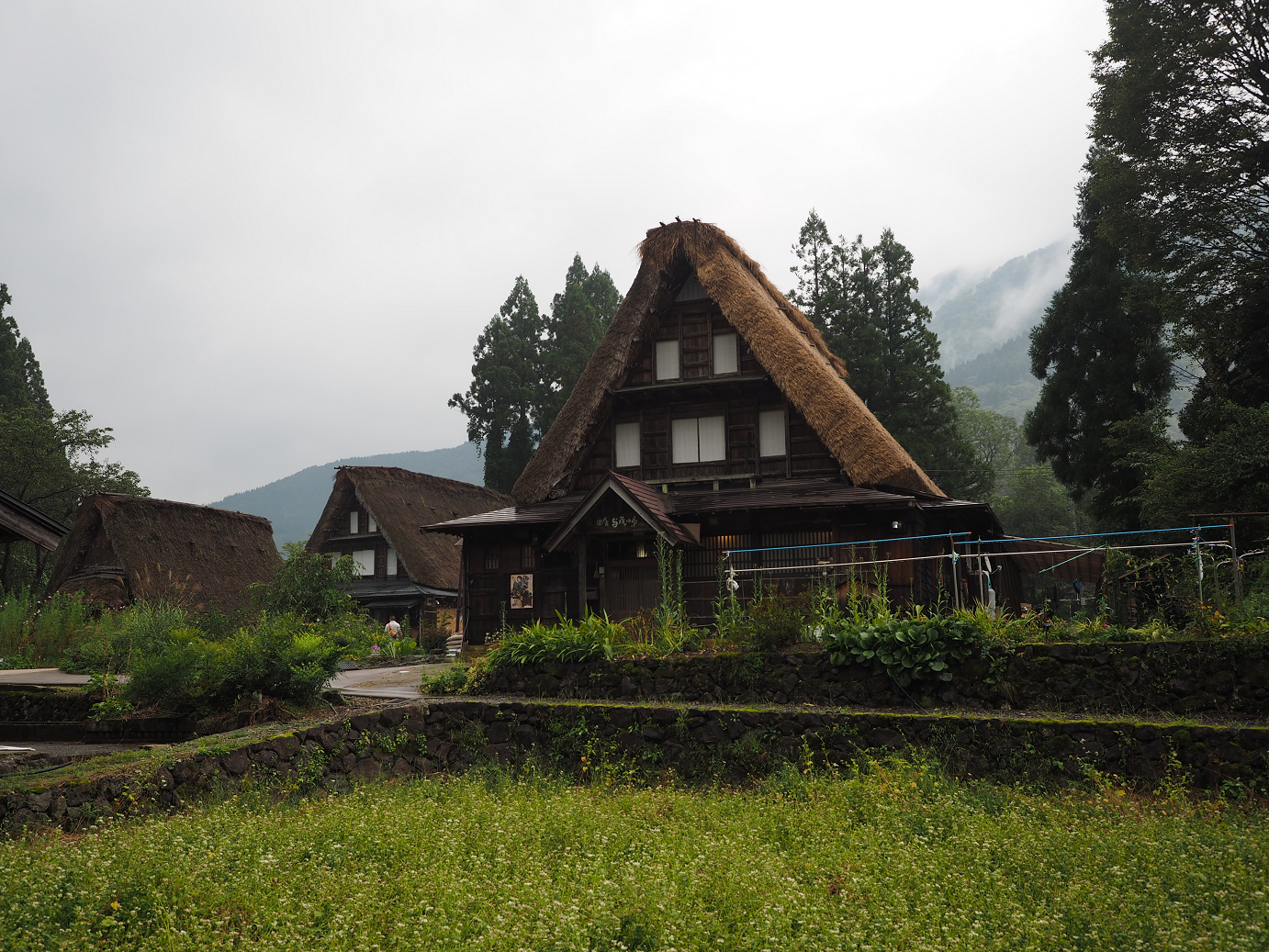 P9171990.jpg