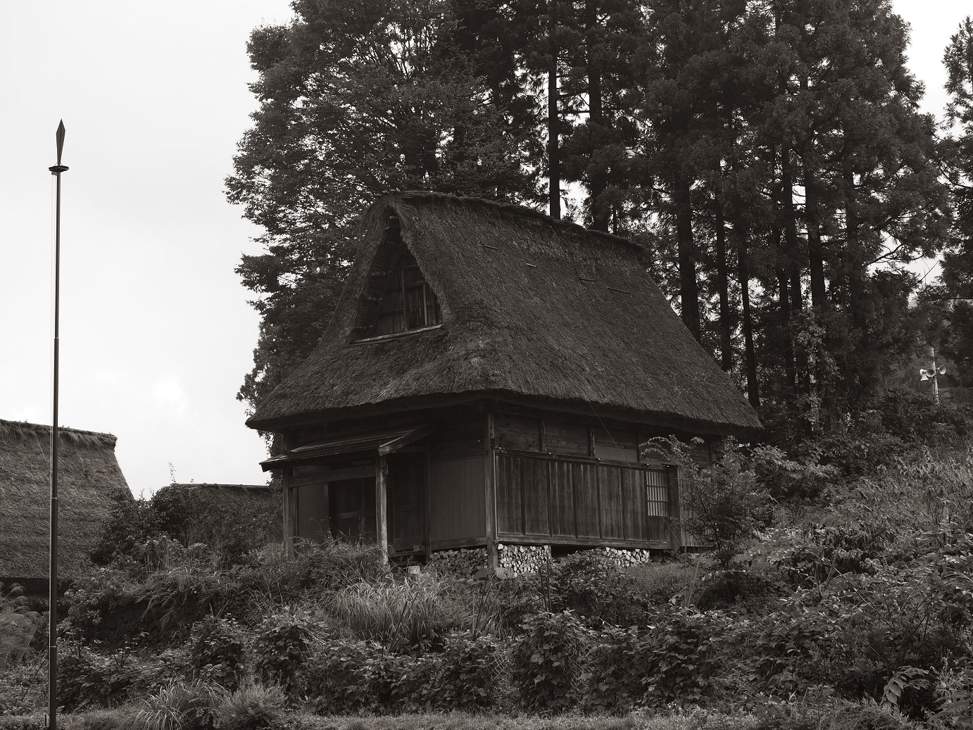 P9171999.jpg