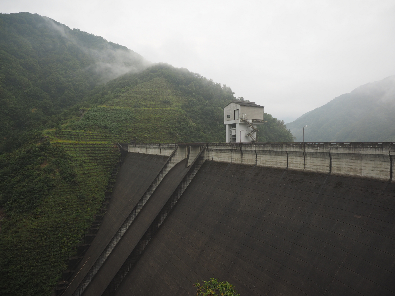 P9172031.jpg