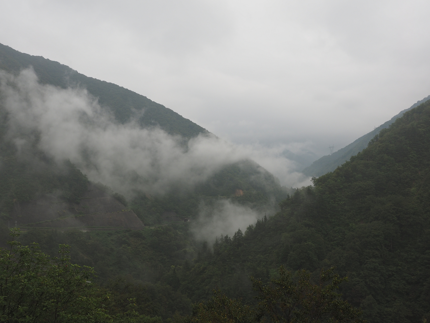 P9172038.jpg