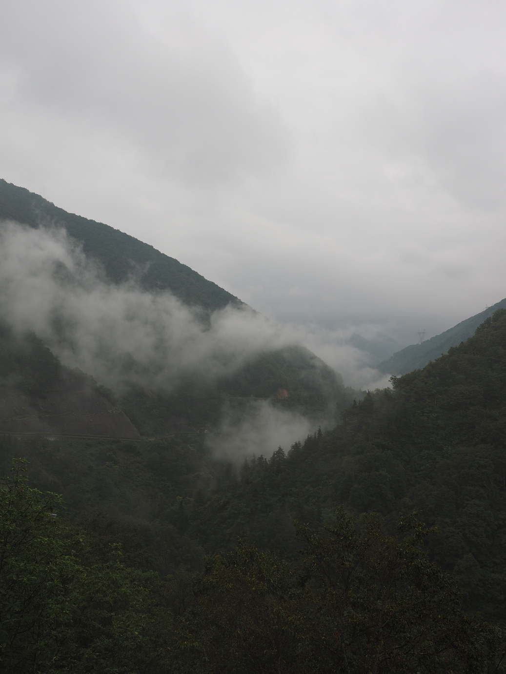 P9172039.jpg