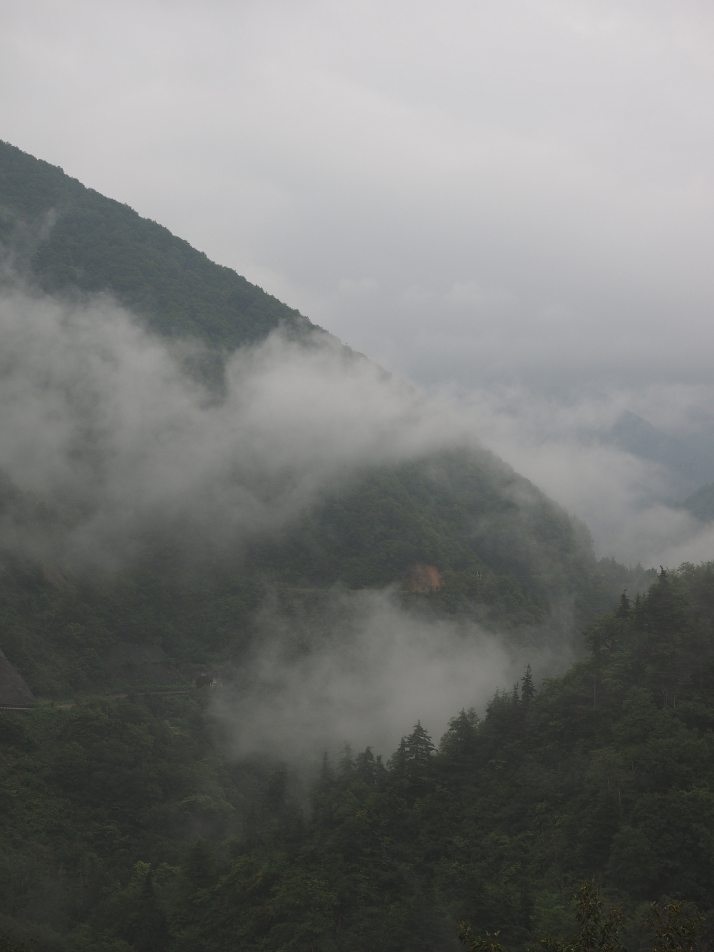 P9172040.jpg